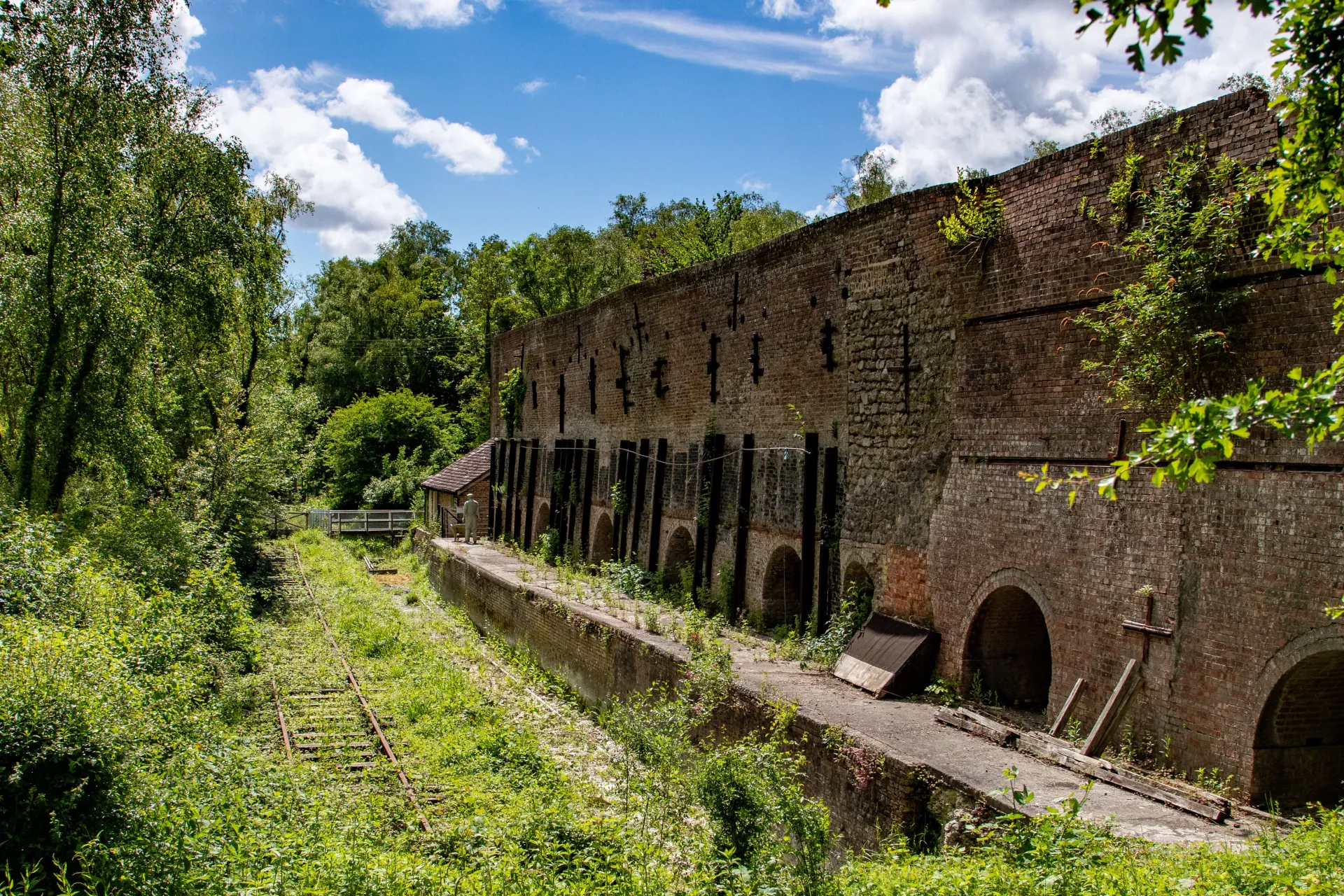 Home Page Background